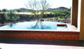 Cayman Traditional Pool w/Negative Edge