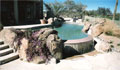 Cayman Freeform Pool